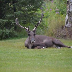 All Seasons B&B